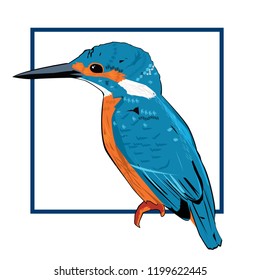 King Fisher Vector