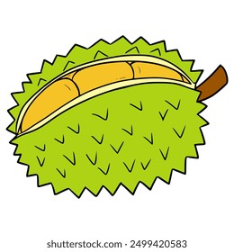 king fruit durian illustration hand drawn isolated vector
