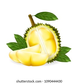 King of fruits, durian isolated on white background.Vector illustration