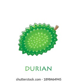 King of fruits, durian. Vector illustration cartoon flat icon isolated on white.