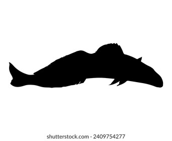 Arte vectorial de la silueta de peces de King George Whiting