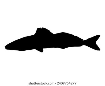 Arte vectorial de la silueta de peces de King George Whiting