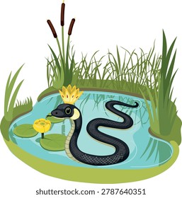 King of grass snakes with crown in pond vector illustration isolated on white background
