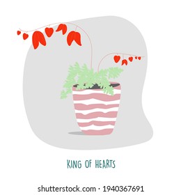 King of hearts illustration. Indoor plants. House plants stock vector illustration. Plant easy to keep alive. Interior decoration houseplants concept. Flat colorful vector illustration