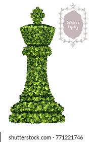 The King, isolated chess piece of boxwood topiary, garden plant, vector background. English boxwood, evergreen dwarf shrubs. Shrub for landscape.