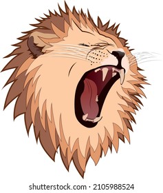 King Of The Jungle 