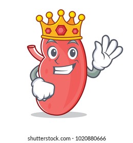 King kidney mascot cartoon style