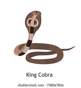 King Kobra snake color flat icon