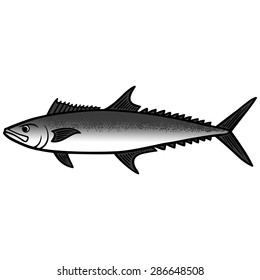 King Mackerel Fish illustration