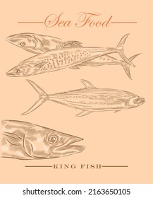 Ilustración de peces de caballa rey en variaciones.
