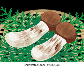 King of mushrooms, Matsutake mushroom
