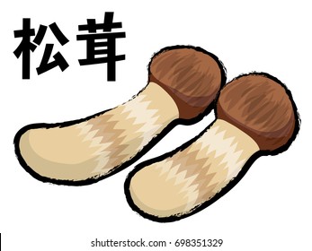 King of mushrooms, Matsutake mushroom,Illustration of a brush stroke,The title character is written as Matsutake mushroom in Japanese