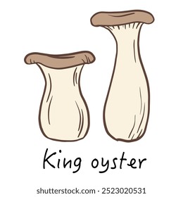 king oyster cogumroom, Pleurotus eryngii, king trompete cogumelo, francês chifre cogumelo, eryngi, esboço ilustração doodle. para menu, livro de receitas, receita, cartaz, design de pacote.