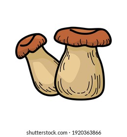 King oyster mushroom, Set of King oyster mushroom on white background. King oyster mushroom vector illustration.