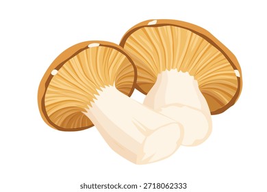 Vector de setas de ostra King aislado sobre fondo blanco.	