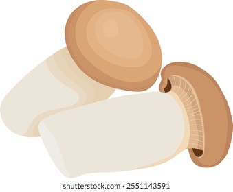 King Oyster Mushroom Vegetable Illustration Isolated on White Background	