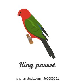 King parrot color flat icon for web and mobile design