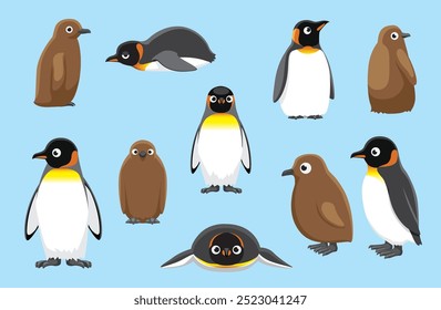 King Penguin Chick Cute Bird Winter Set Cartoon Vector