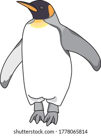 Los pollitos de los pingüinos del rey son más grandes que los pingüinos adultos