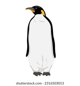King Penguin. Flat vector illustration isolated on white. Polar animal
