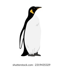 King Penguin. Flat vector illustration isolated on white. Polar animal