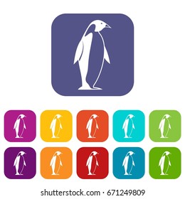 King penguin icons set vector illustration in flat style In colors red, blue, green and other