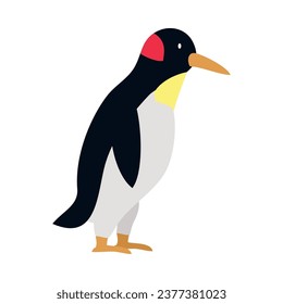 king penguin illustration vector isolated