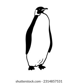 King Penguin. Monochrome vector illustration. Realistic polar animal