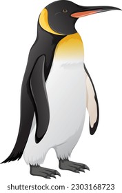 King Penguin on White Background illustration