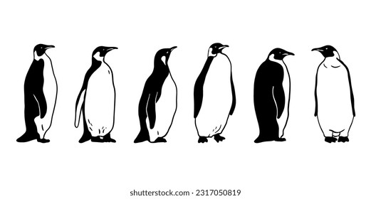 King Penguin set. Monochrome vector illustration. Realistic polar animal