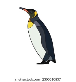 King Penguin. Vector illustration isolated on white background.