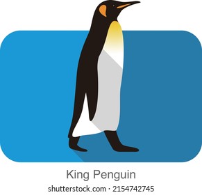 King Penguin walking, Penguin seed series, vector illustration