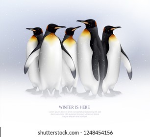 King penguins colony in snowy environment composition realistic background poster for great winter vacation ideas  vector illustration