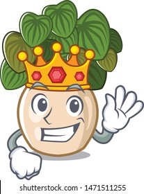 King peperomia with in the cartoon shape