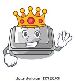 King plastic box in the character closet