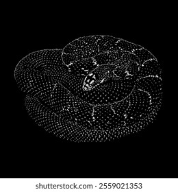 king rat snake hand drawing vector isolated on black background.