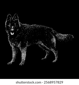 king shepherd hand drawing vector isolated on black background.