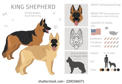 King Shepherd. Variety Of German Shepherd Dog.  Clipart. Different Coat Colors Set.  Vector Illustration