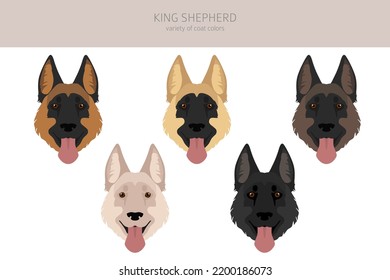 King Shepherd. Variety Of German Shepherd Dog.  Clipart. Different Coat Colors Set.  Vector Illustration