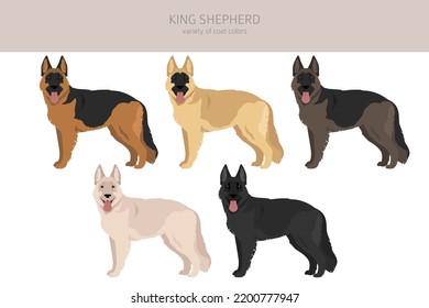 King Shepherd. Variety Of German Shepherd Dog.  Clipart. Different Coat Colors Set.  Vector Illustration