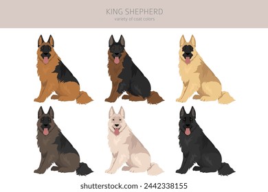 King Shepherd. Variety of German shepherd dog.  clipart. Different coat colors set.  Vector illustration