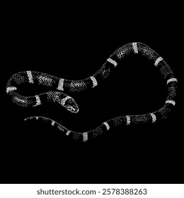 king snake hand drawing vector isolated on black background.