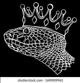 king of snakes in black background. vector illustration