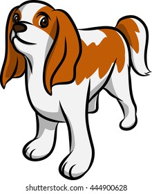 king spanien puppy