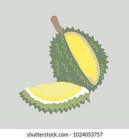King of Thai Fruit with Hand Drawn Illustration (Vector)