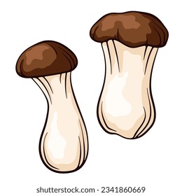 King trumpet mushroom in cartoon style. Eringi king oyster hand drawn, sketch. Vector illustration isolated on a white background.