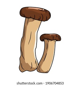 King trumpet mushroom, Set of King trumpet mushroom on white background. King trumpet mushroom vector illustration.