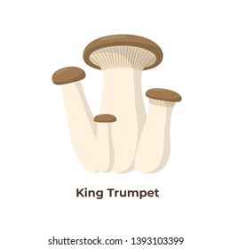 King Trumpet mushrooms isolated on white background, vector illustration in flat design.