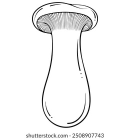 King Trumpet mushrooms, Pleurotus Eryngii, King Oyster edible mushroom. Vector illustration in hand drawn sketch doodle style. Line art graphic vegetarian food isolated on white for coloring book