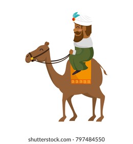 king wizard in camel avatar character